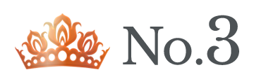 ランキング NO.3 