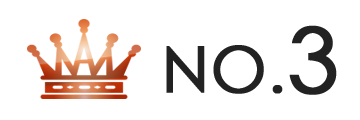 ランキング NO.3 