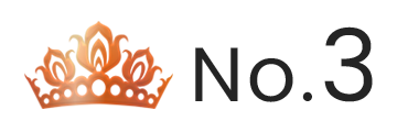 ランキング NO.3 