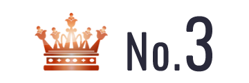 ランキング NO.3 