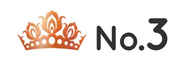 ランキング NO.3 