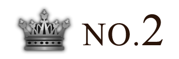 ランキング NO.2 