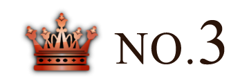 ランキング NO.3 
