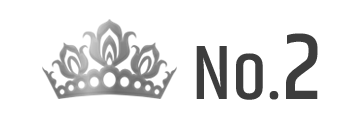 ランキング NO.2 