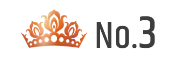 ランキング NO.3 