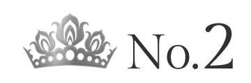 ランキング NO.2 