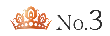 ランキング NO.3 