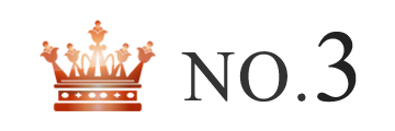 ランキング NO.3 
