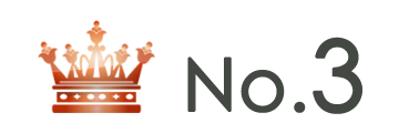 ランキング NO.3 