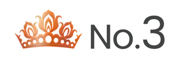 ランキング NO.3 