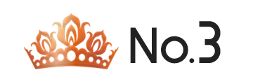 ランキング NO.3 