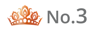 ランキング NO.3 