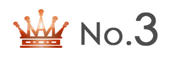 ランキング NO.3 