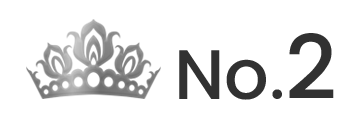 ランキング NO.2 