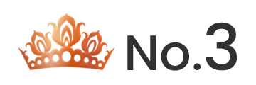 ランキング NO.3 