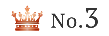 ランキング NO.3 