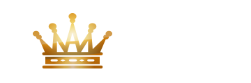 ランキング NO.1