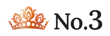 ランキング NO.3 
