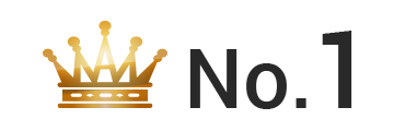 ランキング NO.1 