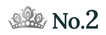 ランキング NO.2 