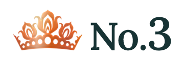 ランキング NO.3 