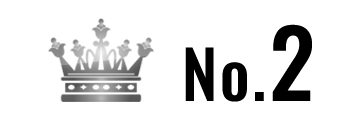 ランキング NO.2 