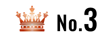 ランキング NO.3 