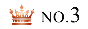 ランキング NO.3 