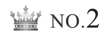 ランキング NO.2 