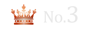 ランキング NO.3