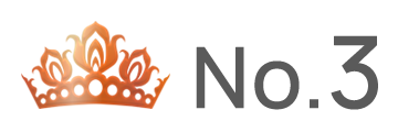 ランキング NO.3