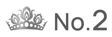 ランキング NO.2 
