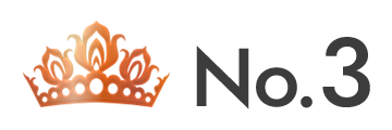 ランキング NO.3