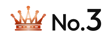 ランキング NO.3 