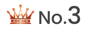 ランキング NO.3 