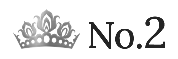 ランキング NO.2 