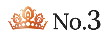 ランキング NO.3 