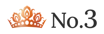 ランキング NO.3 