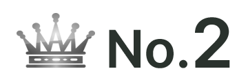ランキング NO.2 