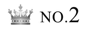 ランキング NO.2 