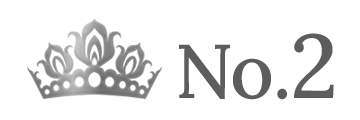 ランキング NO.2 