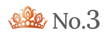 ランキング NO.3 