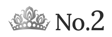 ランキング NO.2 
