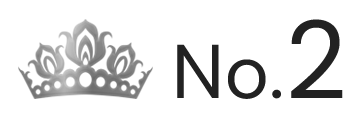 ランキング NO.2 