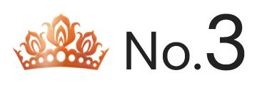 ランキング NO.3 